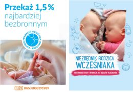 Image 931 Affinity Designer 2